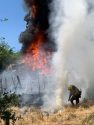 Dane Fire in Sonora
