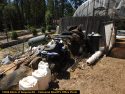 Illegal marijuana grow in Mountain Ranch