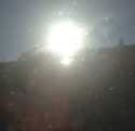 Sunshine in Sonora