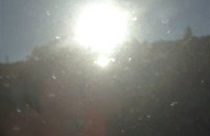 Sunshine in Sonora