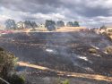 Valley Springs vegetation fire