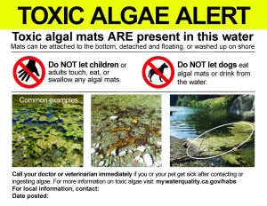 Algal Bloom Detected In Merced River