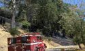 Covey Fire in Sonora