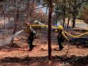 Fire ignited by stolen car involved in chase
