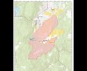 Tamarack Fire
