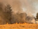Wildland Fire in Jamestown
