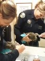 SPD officer rescues turkey