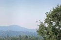Smoke in the skies picture taken from East Sonora (File Photo)