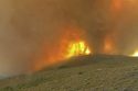 Tamarack Fire near Markleeville 7-22-21 3:45 pm