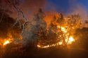 Valley Springs Fire off Highway 26 at a homeless encampment