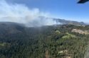 Henry Fire