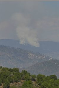 Update:Vegetation Fire On Highway 120