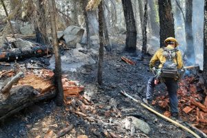 Vegetation Fire near South Lake Tahoe in El Dorado County