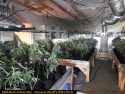 Grow site raided in Calaveras County