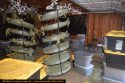 Pot seized