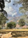 Airola fire by Lori E. Green