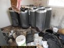 Illegal grow bust by CCSO