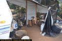 Illegal pot grow bust in Calaveras County