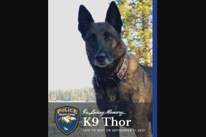 K9 Thor laid to rest