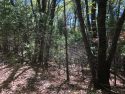 Forested Area Around TUD Infrastructure