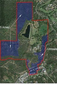 Groveland Receives Grant For Fuel Reduction