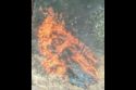 Roadside fire