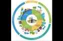 Blue Zones Project