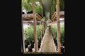 CCSO illegal grow bust