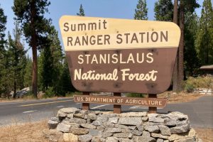 Forest Temporarily Closes Day Use Area And Campground