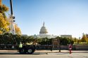 Capitol Christmas Tree arrives in Washington D.C.