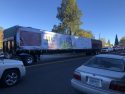 U.S. Capitol Christmas Tree in Sonora
