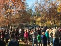 Klassen Klassic Turkey Trot