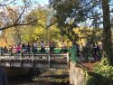 Klassen Klassic Turkey Trot