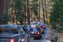 Visitors tips for those heading to Yosemite this Thanksgiving holiday