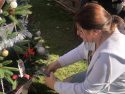 Summerville High students decorate a tree in downtown Sonora's Courthouse Park becomes Christmas Tree Lane
