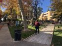 Downtown Sonora's Courthouse Park becomes Christmas Tree Lane