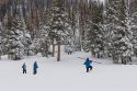 DWR Snow Pack Survey at Phillip Station in Sierra Nevada Mountains 12-30-21