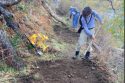 Volunteers working on trail repairs
