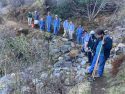 Volunteers working on trail repairs
