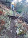 Volunteers working on trail repairs