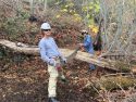 Volunteers working on tree clearing