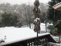 Snow in Columbia - Photo by Tracey Petersen
