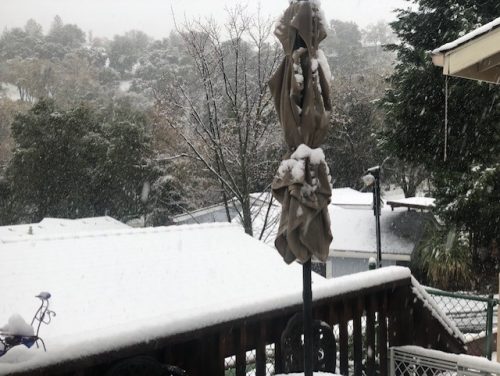 Snow in Columbia - Photo by Tracey Petersen