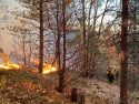 Prescribed fire near Mt. Provo