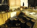 Illegal grow bust by CCSO in Valley Springs