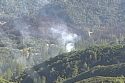 Smoke column off Stockton Road in Sonora