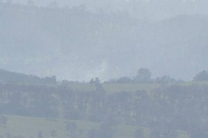 Vegetation fire in Lake Don Pedro area
