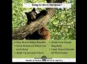 Mariposa County Public Health Message