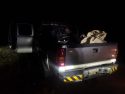 Arrest scene on Pioneer Creek Road in Pioneer