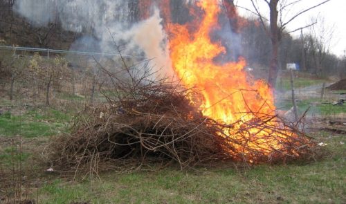 Debris pile burning